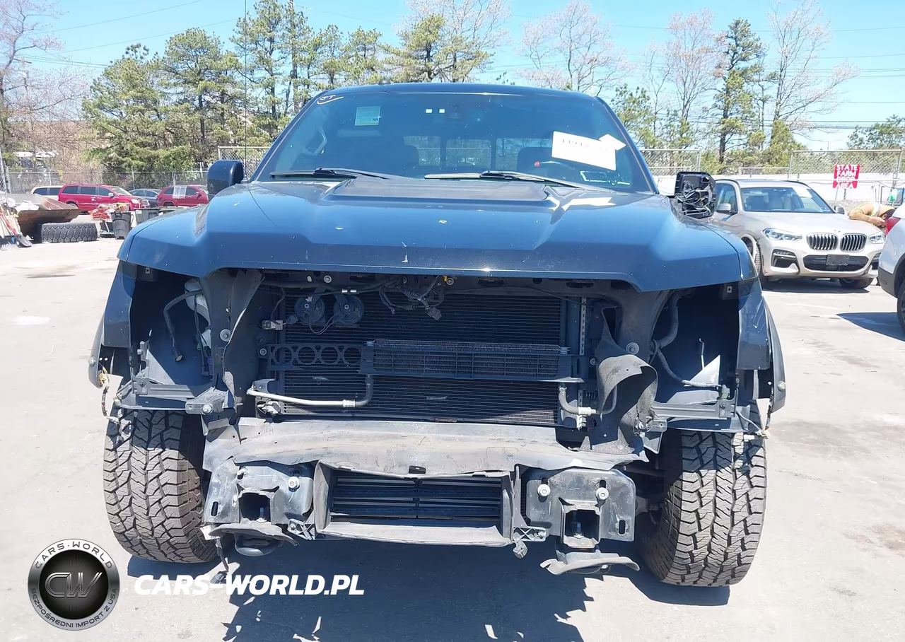 2018 Ford F-150 Raptor VIN:1FTFW1RG5JFC86294 - 6