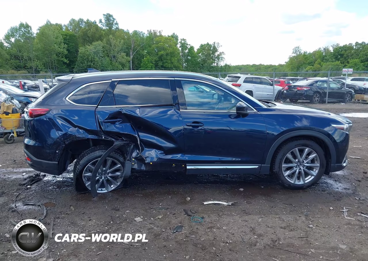 2022 Mazda Cx-9 Grand Touring VIN:JM3TCBDY2N0626163 - 13