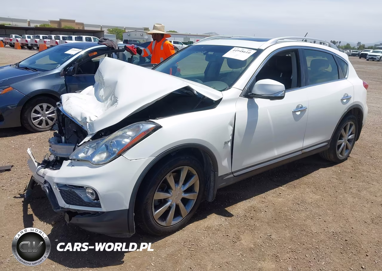 2017 Infiniti Qx50 VIN:JN1BJ0RP0HM384861 - 2