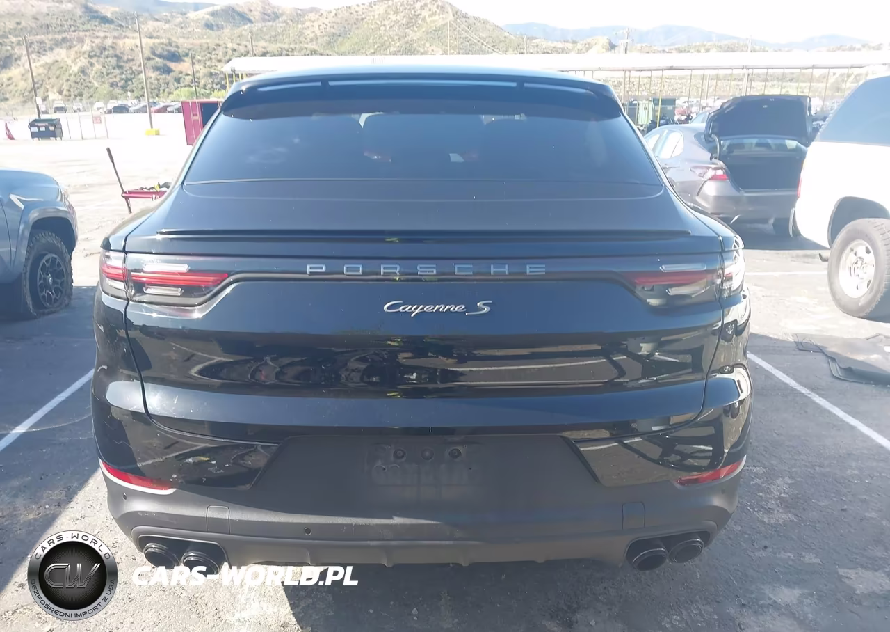 2023 Porsche Cayenne Coupe S-S Platinum Edition VIN:WP1BB2AY3PDA30484 - 17