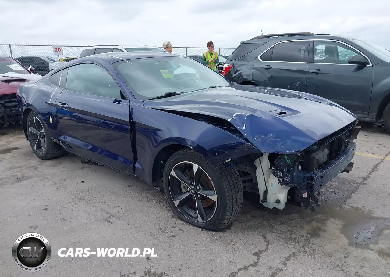 2019 Ford Mustang Ecoboost