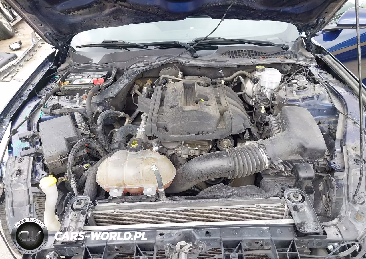 2019 Ford Mustang Ecoboost VIN:1FA6P8TH2K5185816 - 10