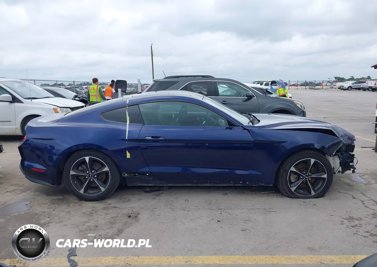 2019 Ford Mustang Ecoboost VIN:1FA6P8TH2K5185816 - 14