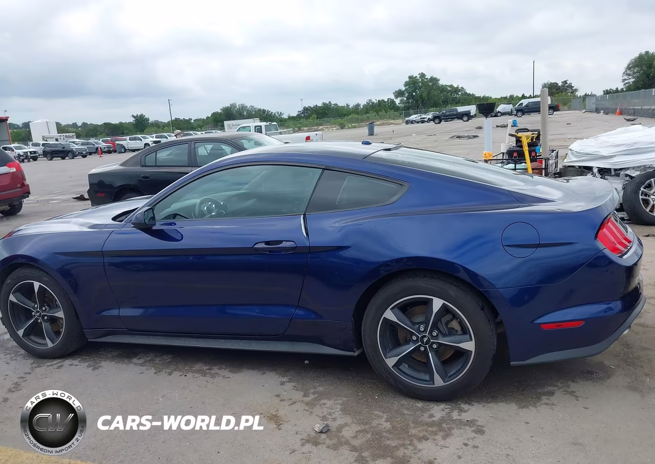 2019 Ford Mustang Ecoboost VIN:1FA6P8TH2K5185816 - 15