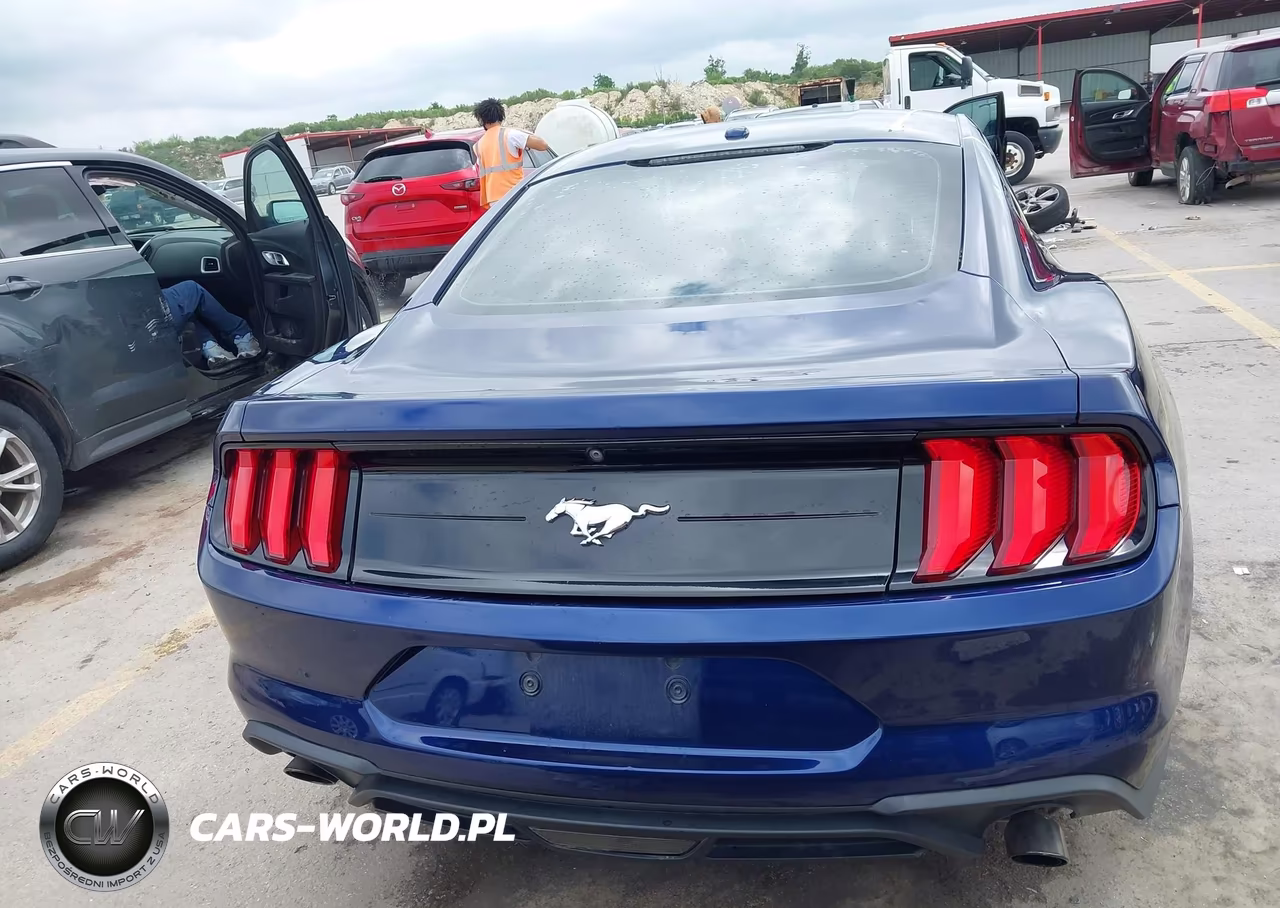 2019 Ford Mustang Ecoboost VIN:1FA6P8TH2K5185816 - 17