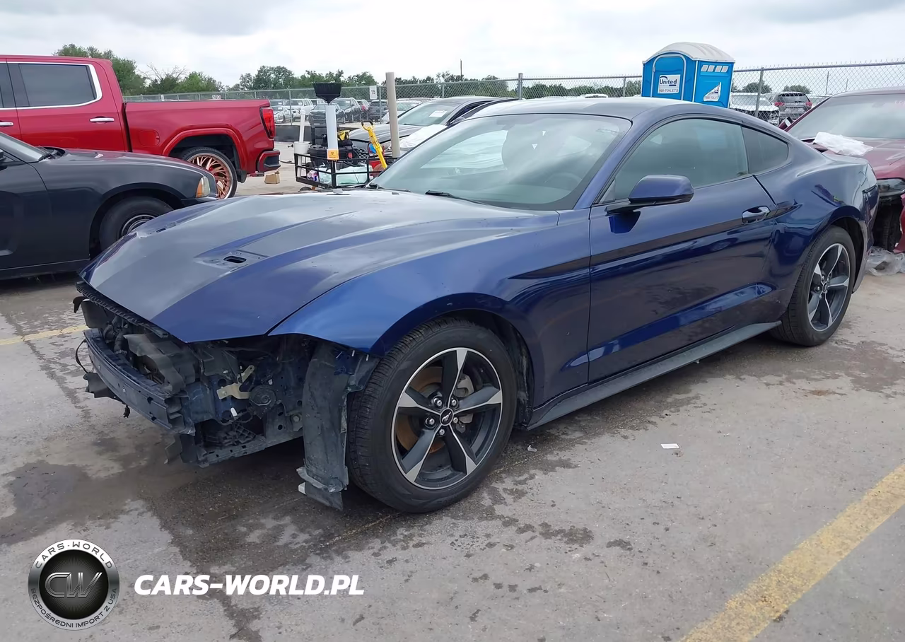 2019 Ford Mustang Ecoboost VIN:1FA6P8TH2K5185816 - 2