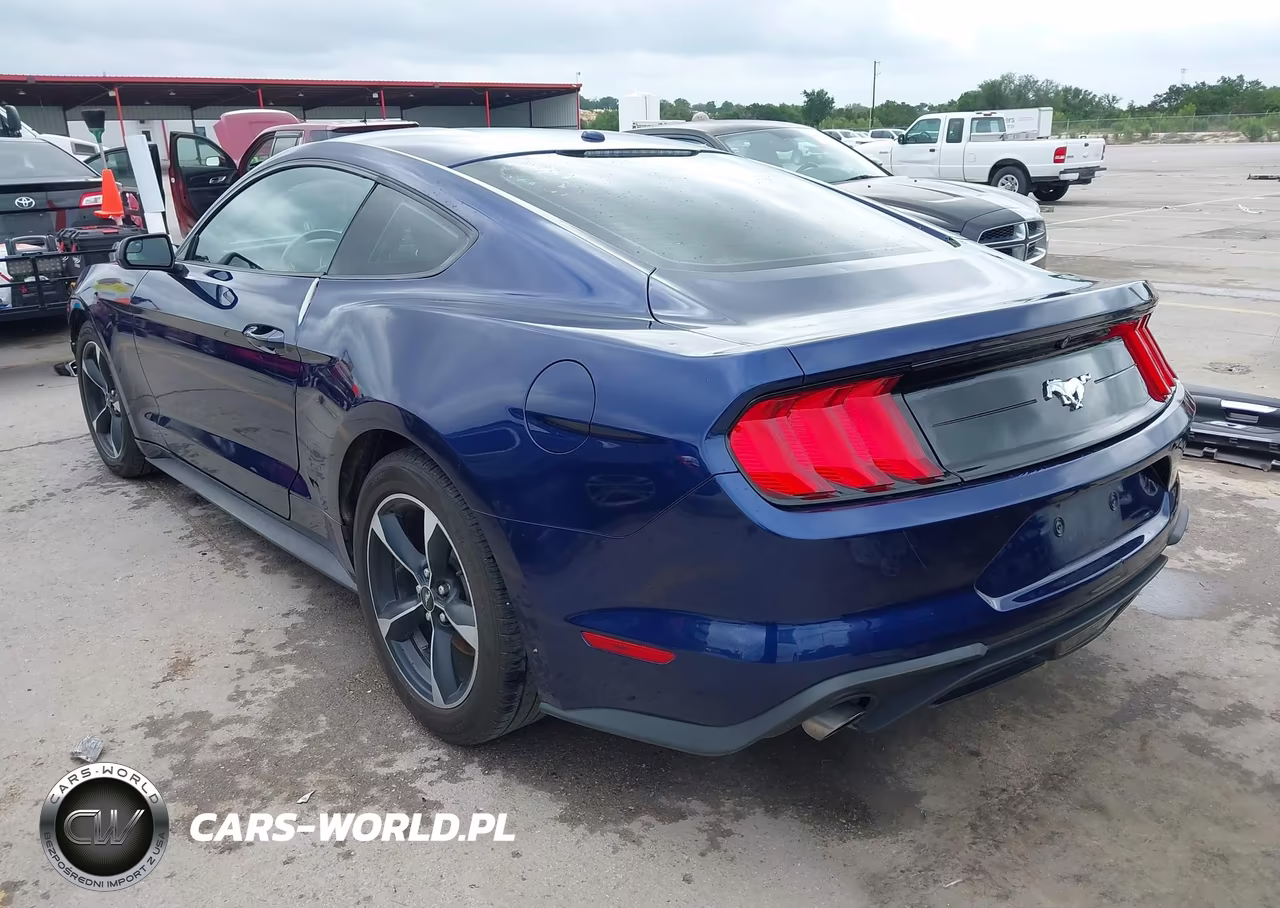 2019 Ford Mustang Ecoboost VIN:1FA6P8TH2K5185816 - 3