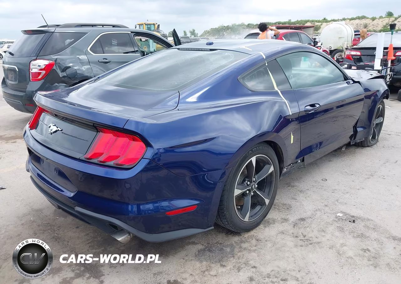2019 Ford Mustang Ecoboost VIN:1FA6P8TH2K5185816 - 4
