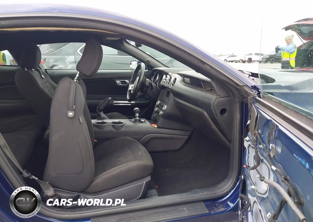 2019 Ford Mustang Ecoboost VIN:1FA6P8TH2K5185816 - 5