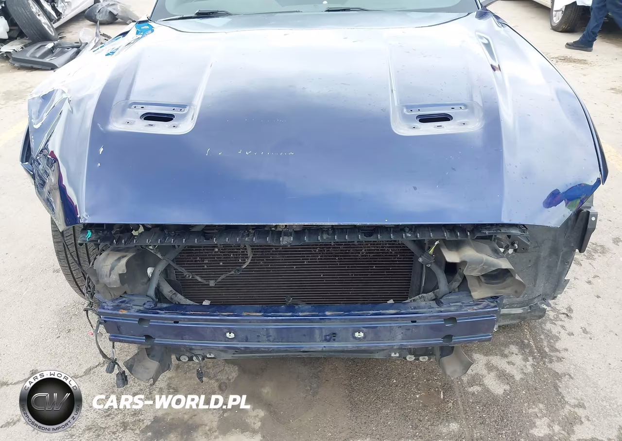 2019 Ford Mustang Ecoboost VIN:1FA6P8TH2K5185816 - 6