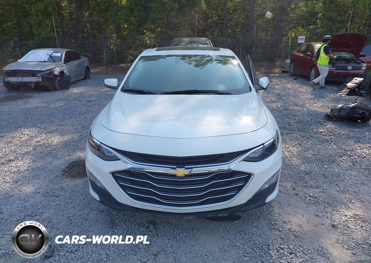 2023 Chevrolet Malibu Fwd 1Lt VIN:1G1ZD5ST7PF170243 - 12