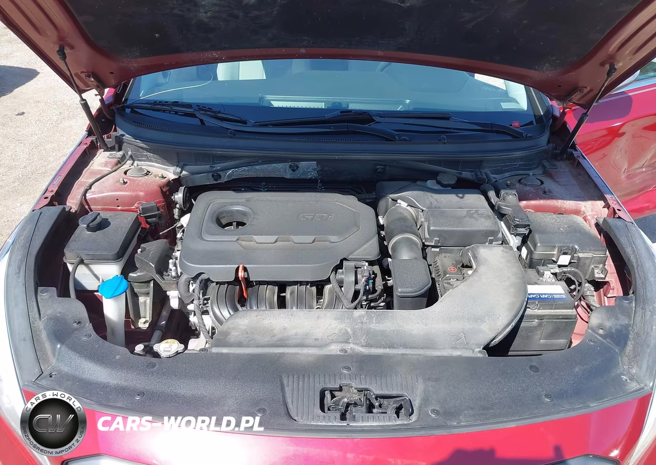 2015 Hyundai Sonata Sport VIN:5NPE34AF4FH202813 - 10