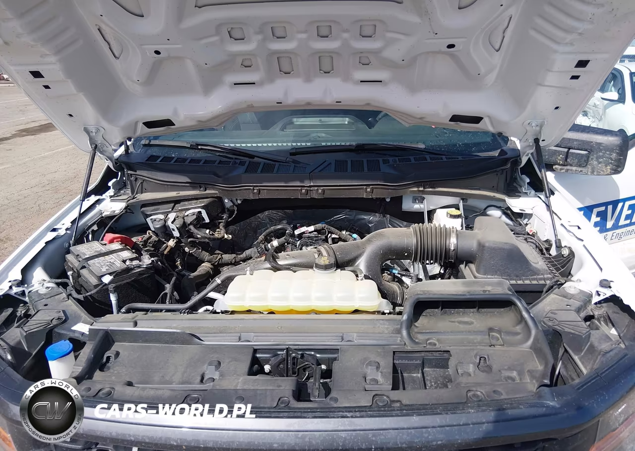2025 Ford F-150 Stx VIN:1FTEX2KP6SKE22742 - 10
