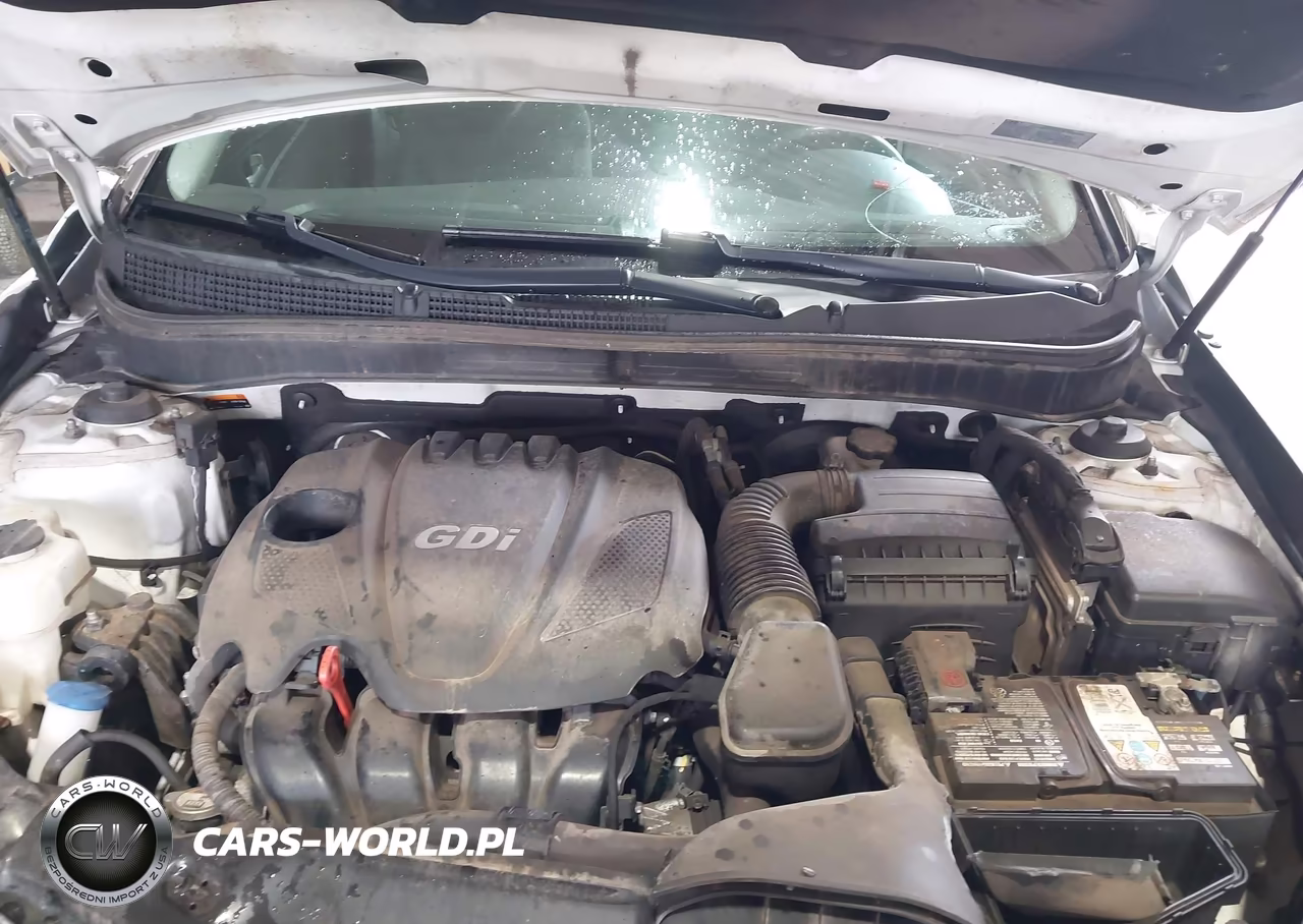 2014 Hyundai Sonata Gls VIN:5NPEB4AC0EH844193 - 10