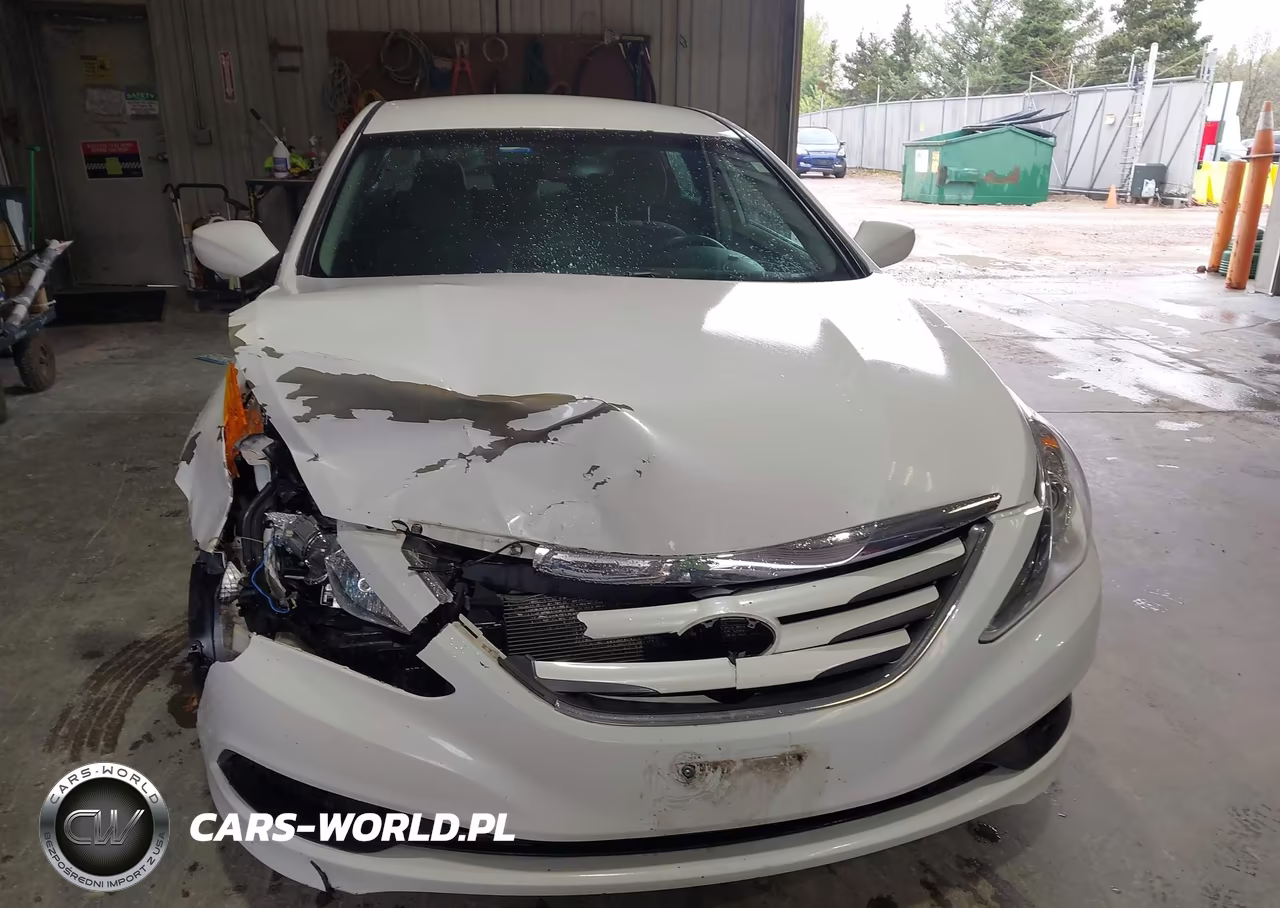 2014 Hyundai Sonata Gls VIN:5NPEB4AC0EH844193 - 12