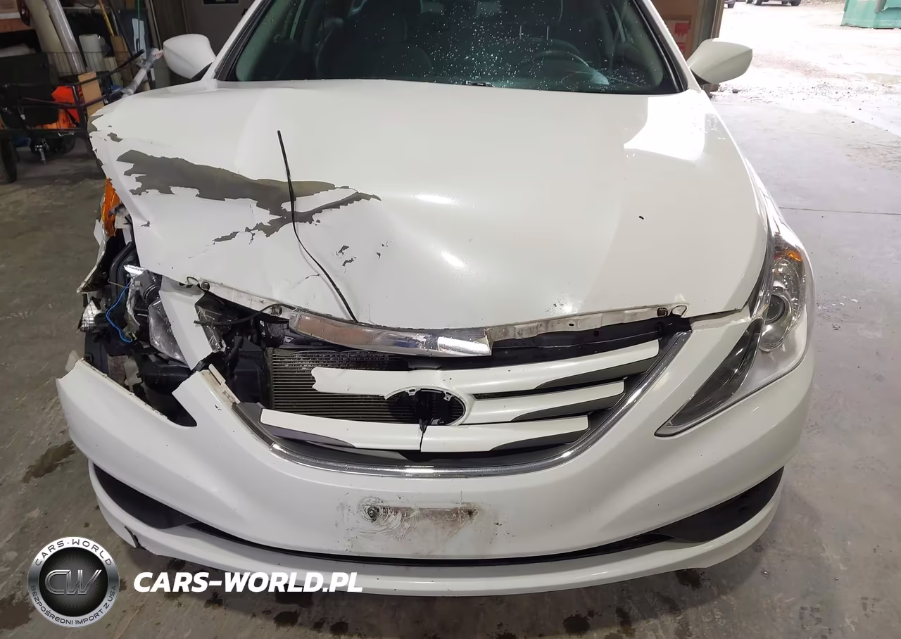 2014 Hyundai Sonata Gls VIN:5NPEB4AC0EH844193 - 6