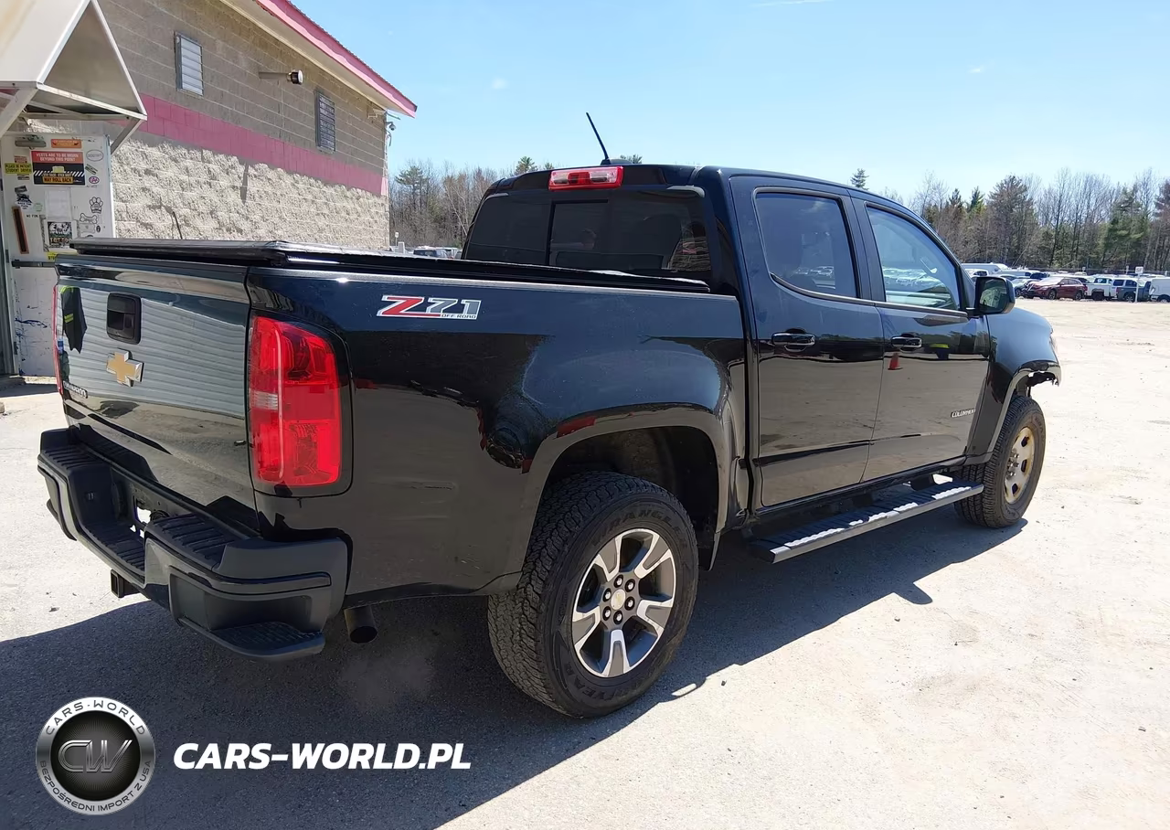 2016 Chevrolet Colorado Z71 VIN:1GCGTDE32G1141530 - 4