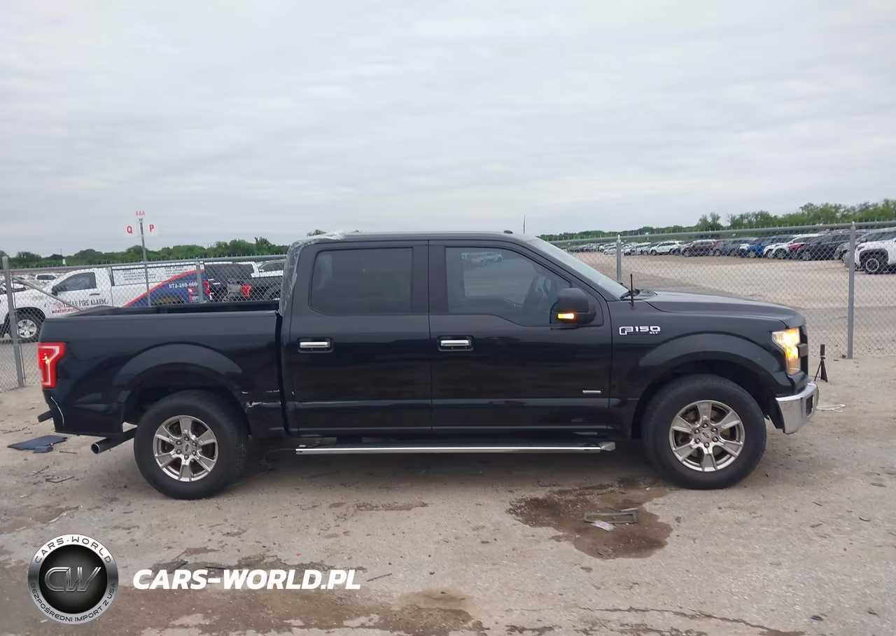 2015 Ford F-150 Xlt VIN:1FTEW1CP0FKE48304 - 13