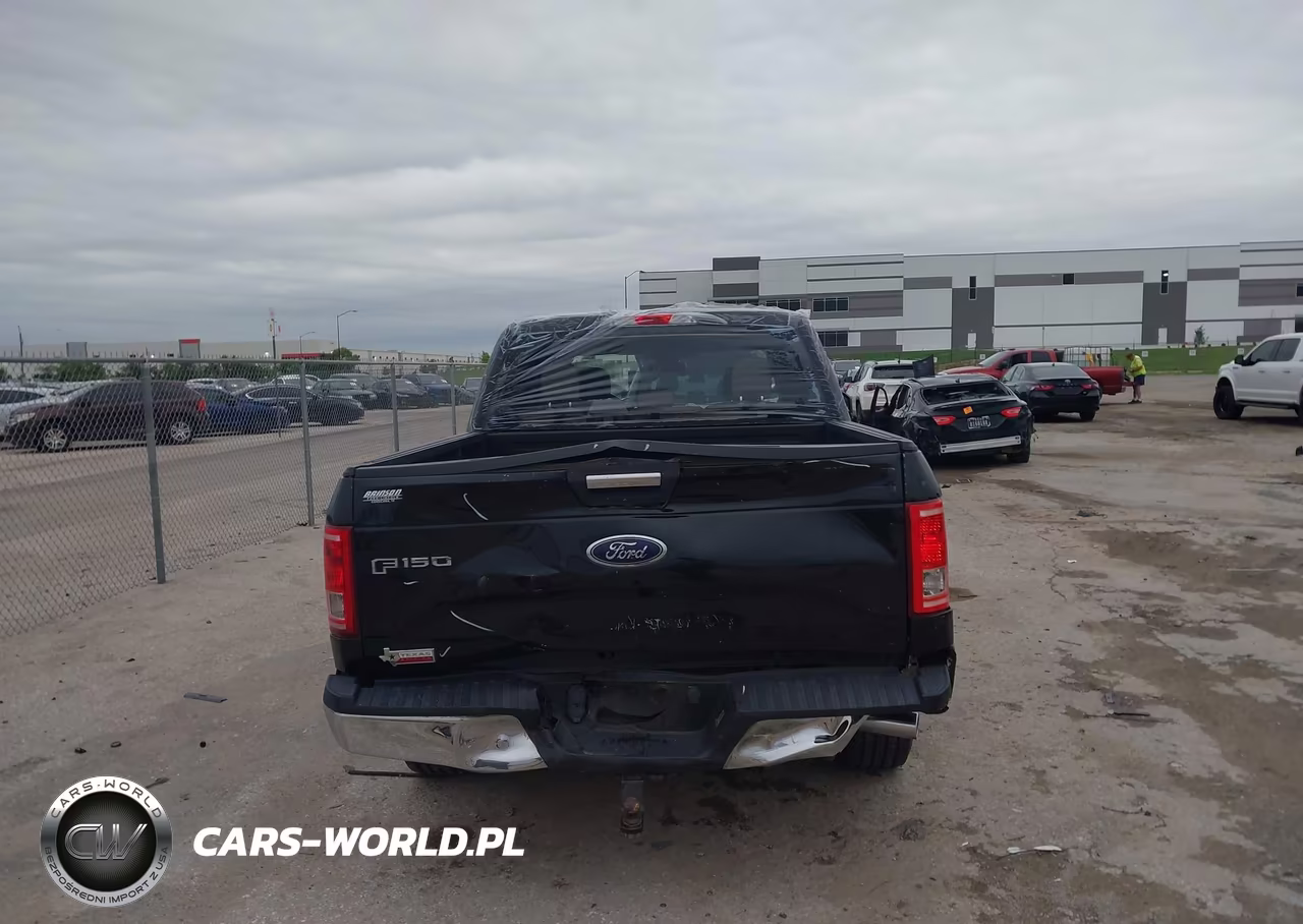 2015 Ford F-150 Xlt VIN:1FTEW1CP0FKE48304 - 16