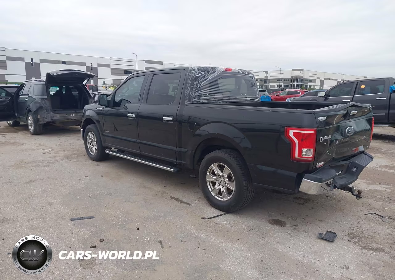 2015 Ford F-150 Xlt VIN:1FTEW1CP0FKE48304 - 3