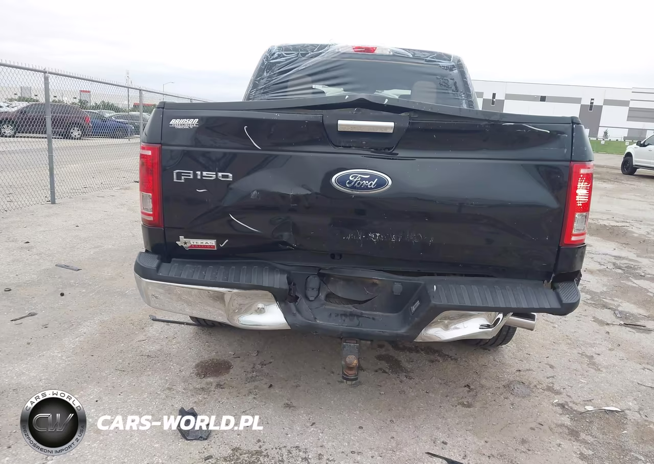 2015 Ford F-150 Xlt VIN:1FTEW1CP0FKE48304 - 6