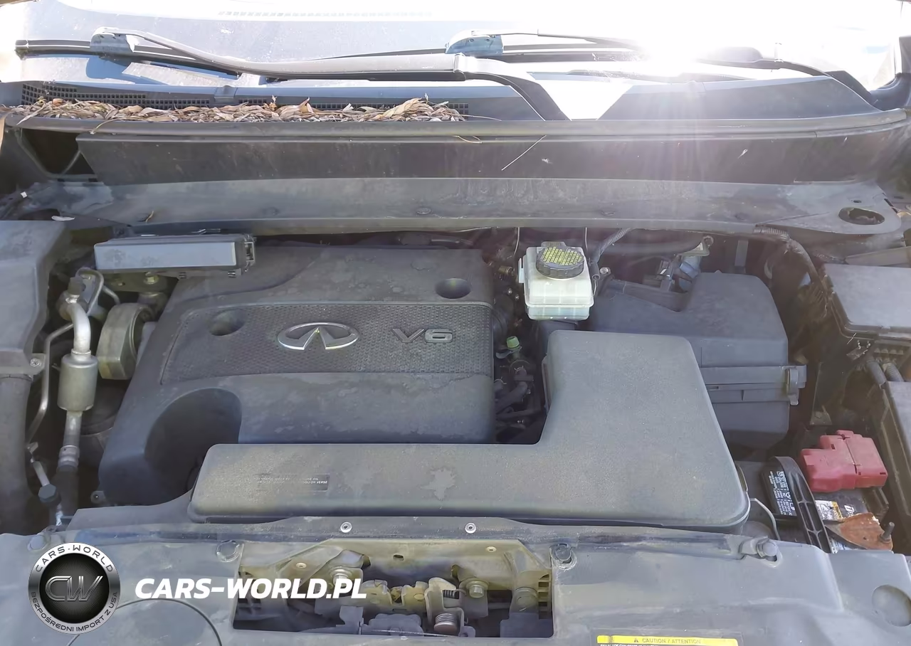 2016 Infiniti Qx60 VIN:5N1AL0MNXGC516159 - 10