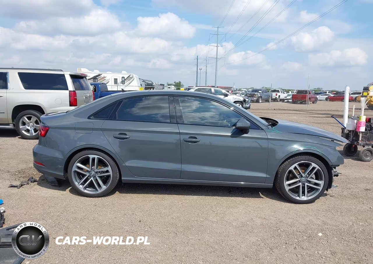 2019 Audi A3 40 Premium-40 Titanium Premium VIN:WAUAUGFF6KA089175 - 14