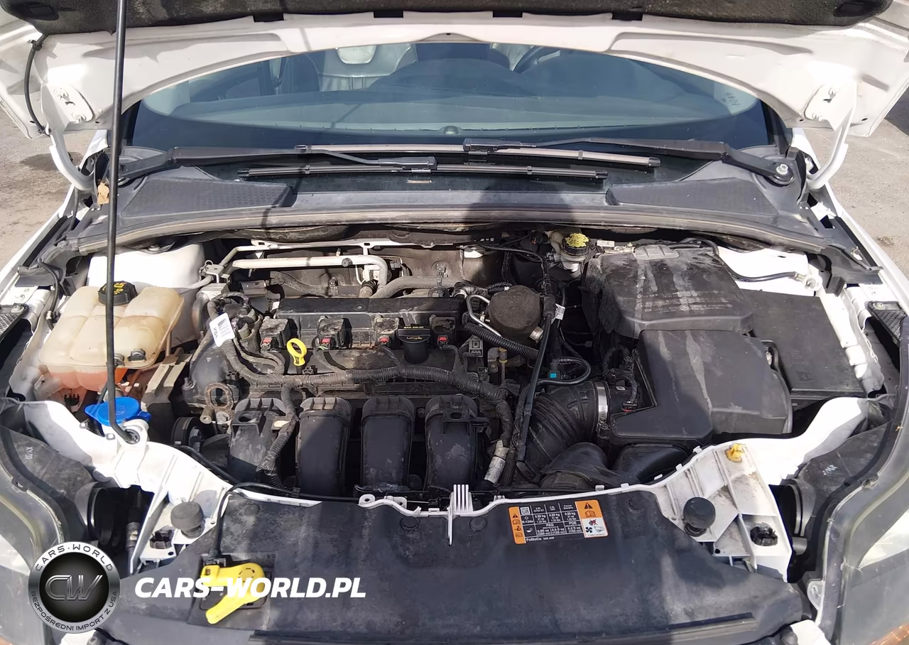 2014 Ford Focus Titanium VIN:1FADP3J2XEL389790 - 10
