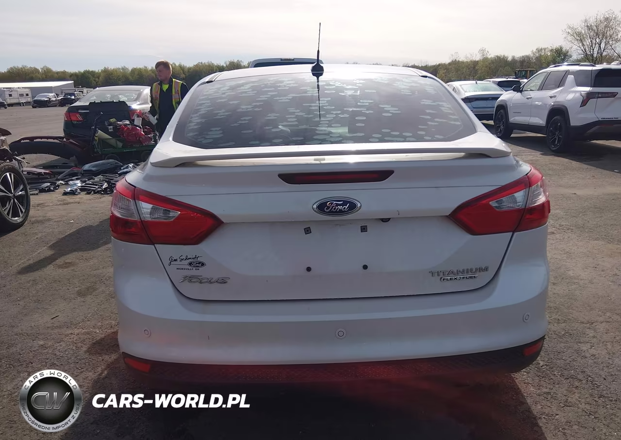 2014 Ford Focus Titanium VIN:1FADP3J2XEL389790 - 16