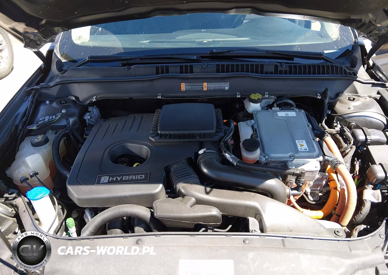 2018 Ford Fusion Hybrid Se VIN:3FA6P0LU9JR176816 - 10