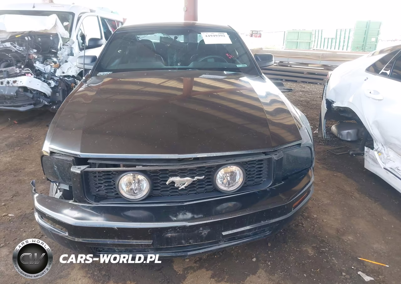 2005 Ford Mustang V6 Deluxe-V6 Premium VIN:1ZVFT80N355223099 - 13