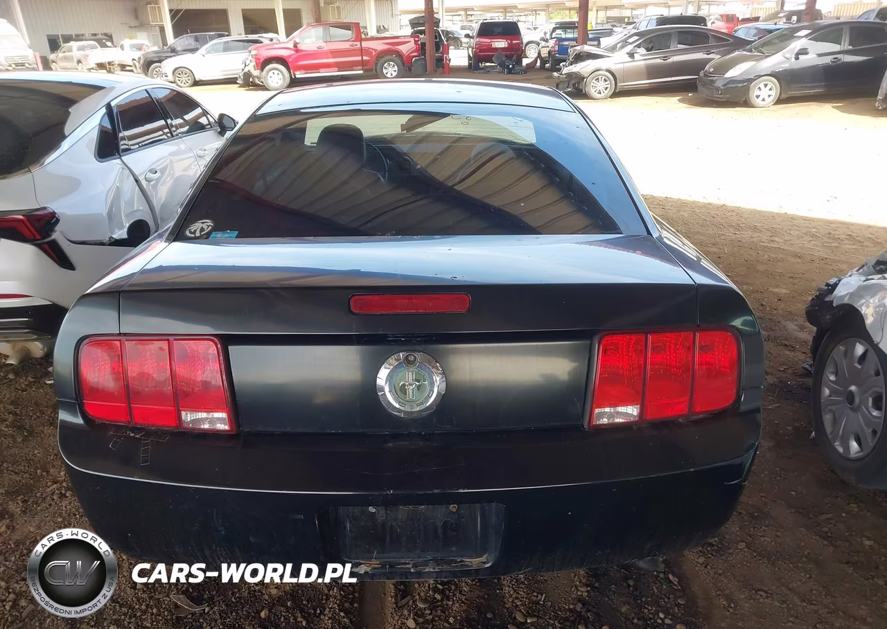 2005 Ford Mustang V6 Deluxe-V6 Premium VIN:1ZVFT80N355223099 - 17