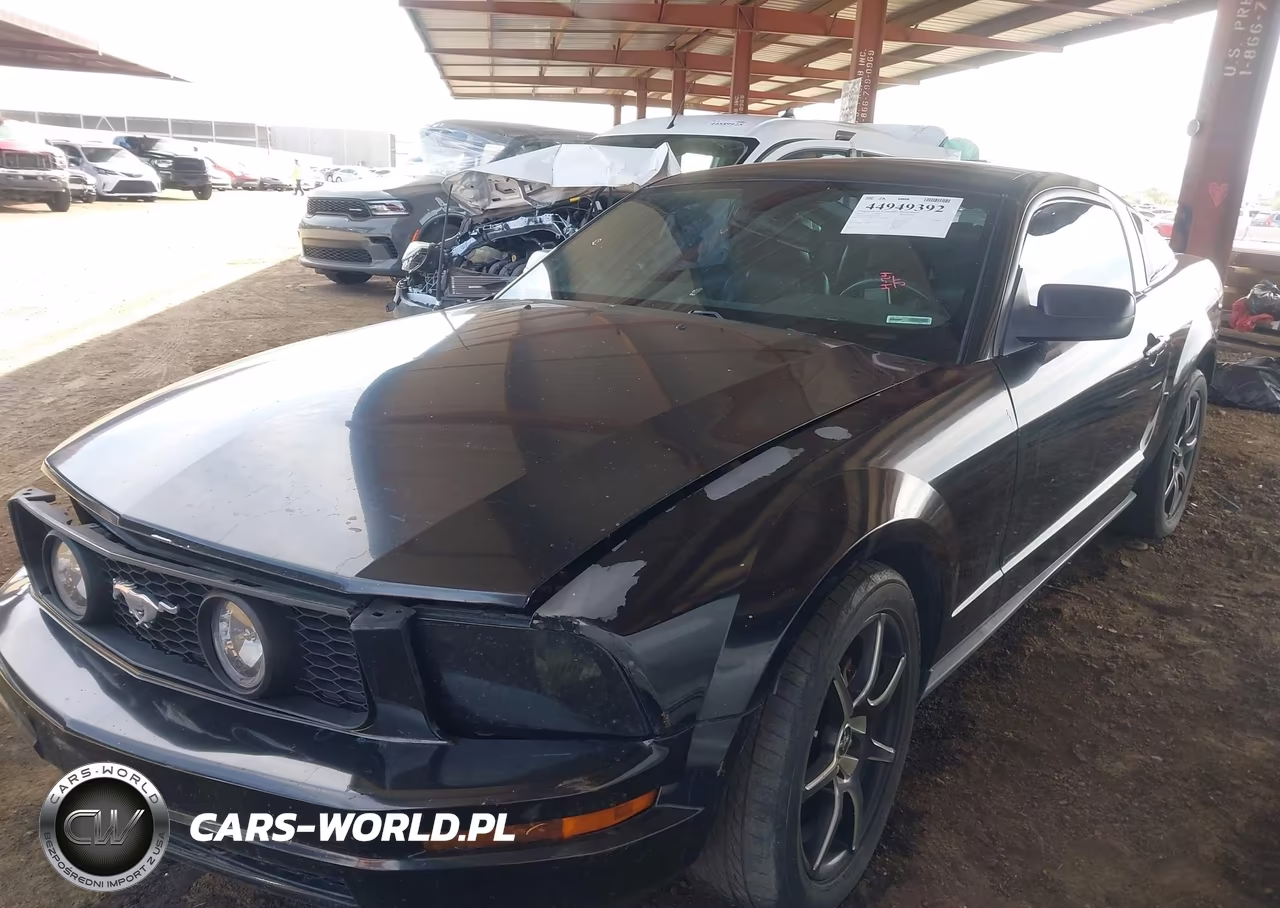 2005 Ford Mustang V6 Deluxe-V6 Premium VIN:1ZVFT80N355223099 - 2