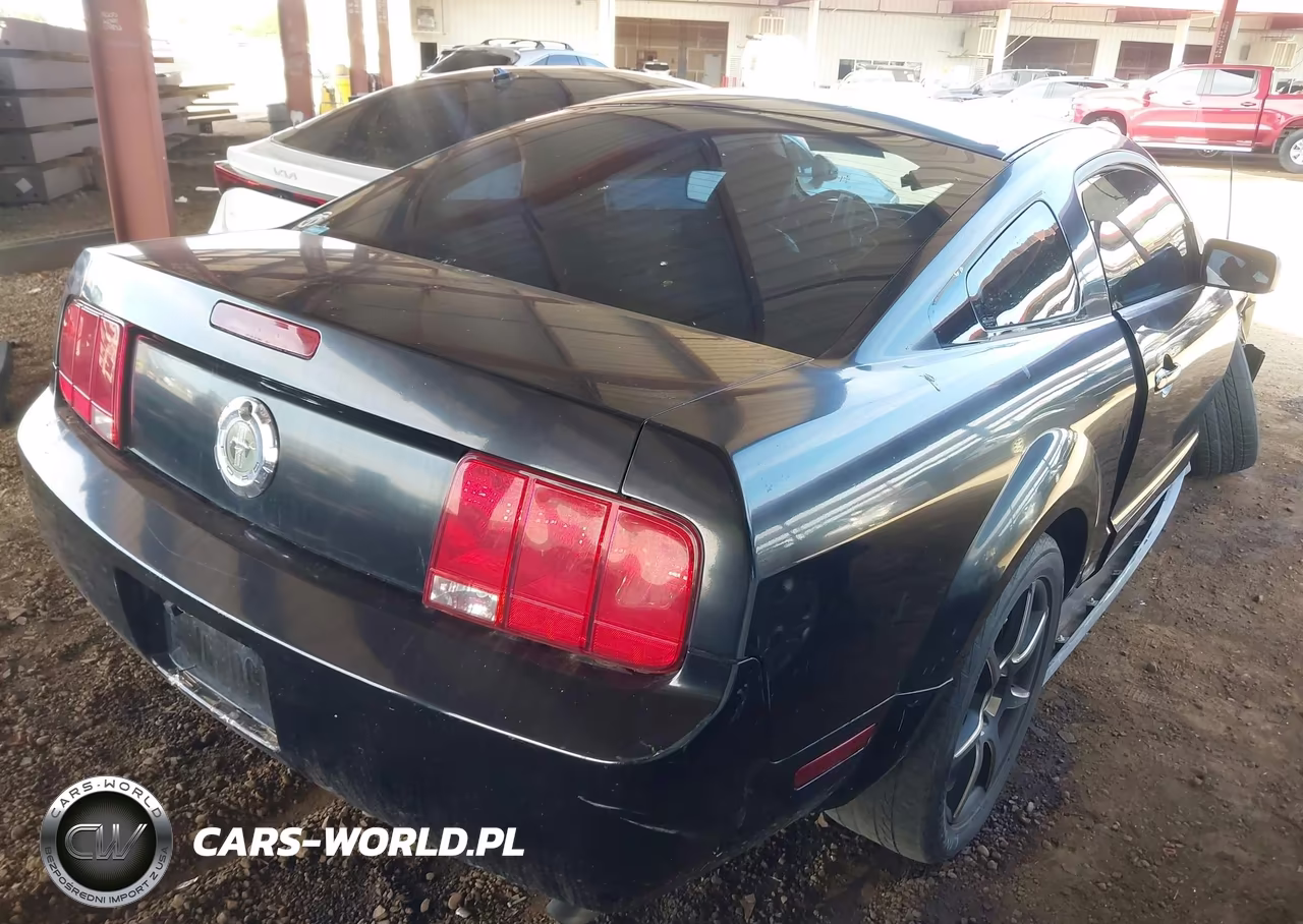 2005 Ford Mustang V6 Deluxe-V6 Premium VIN:1ZVFT80N355223099 - 4