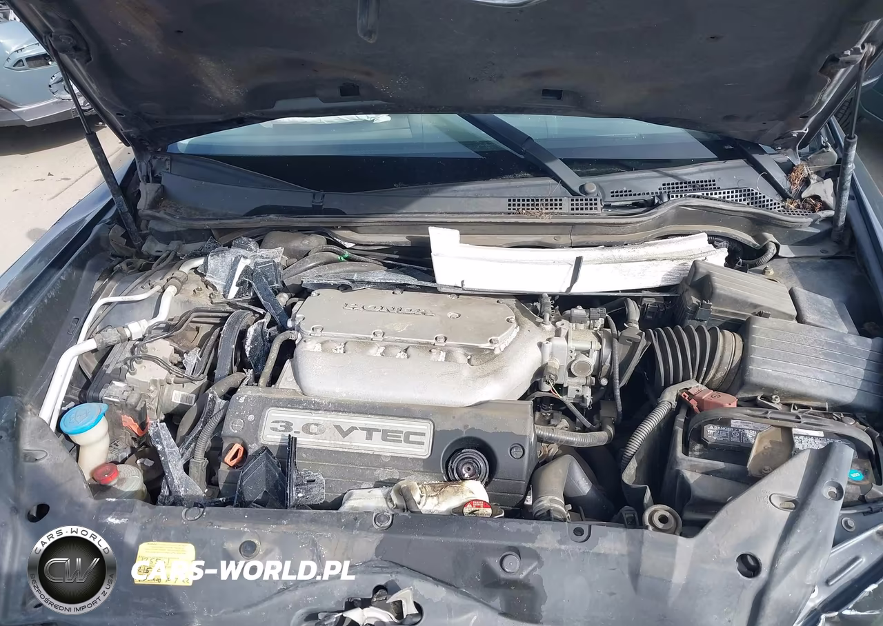 2004 Honda Accord 3.0 Lx VIN:1HGCM66334A066615 - 10