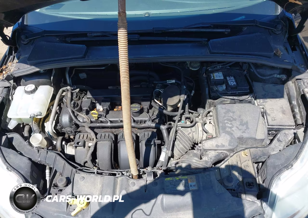 2012 Ford Focus Sel VIN:1FAHP3M29CL209385 - 10