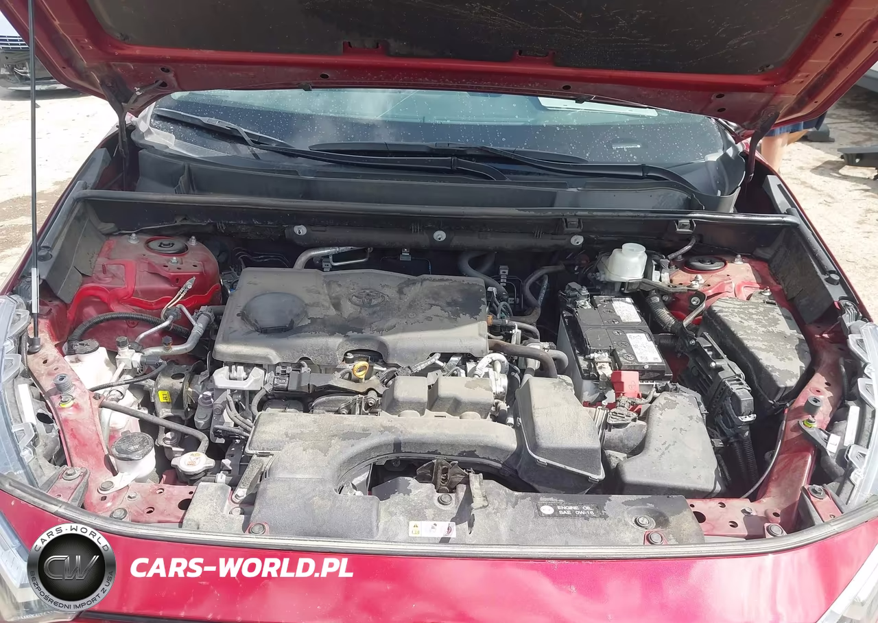 2023 Toyota Rav4 Xle VIN:2T3W1RFV4PW239524 - 10