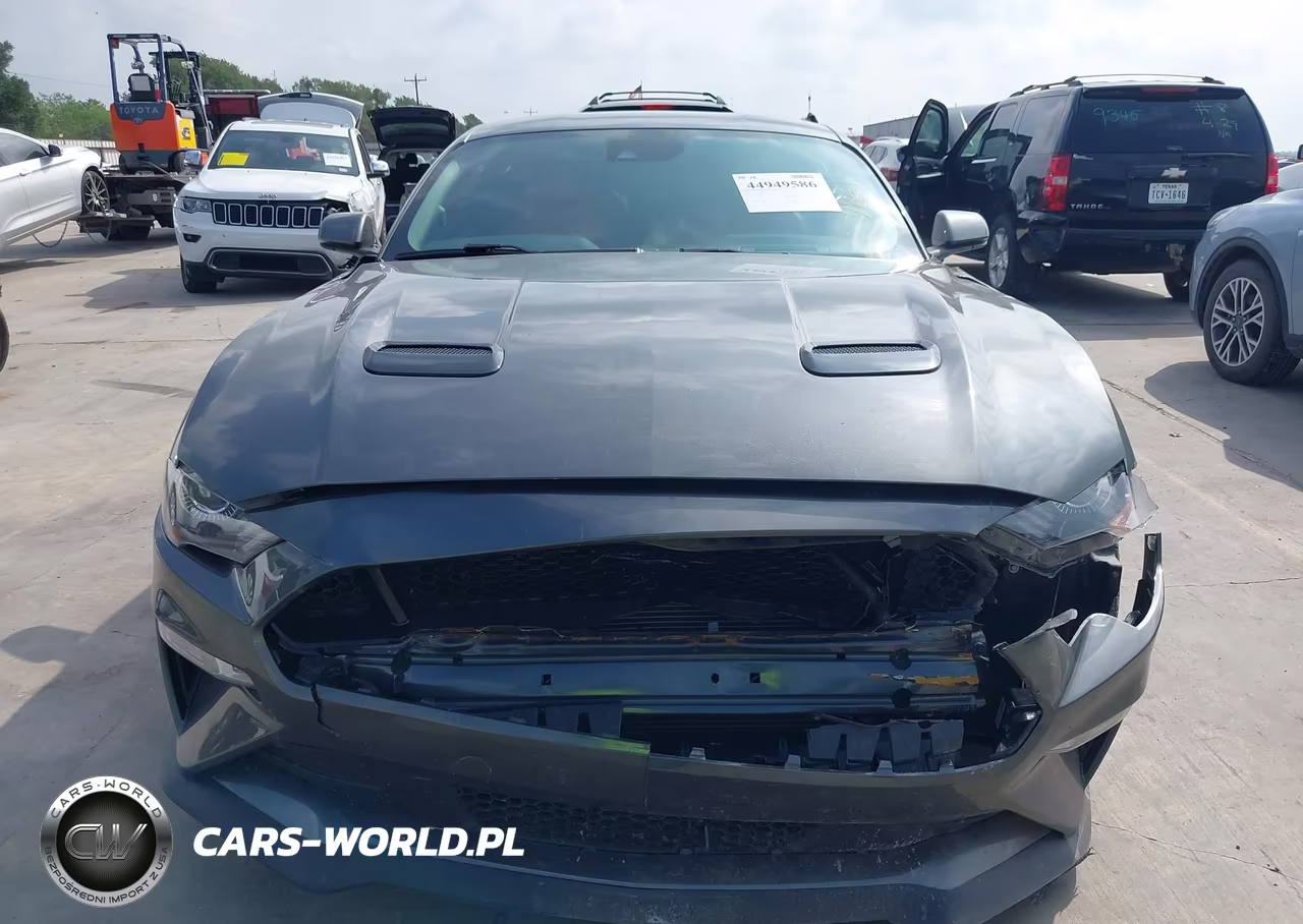 2020 Ford Mustang Gt Premium Fastback VIN:1FA6P8CFXL5117831 - 12
