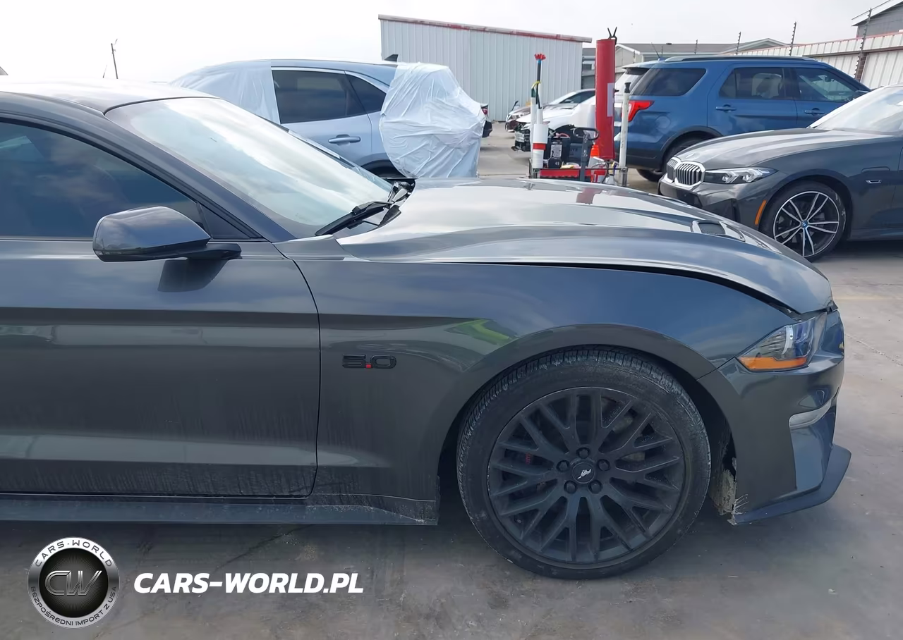 2020 Ford Mustang Gt Premium Fastback VIN:1FA6P8CFXL5117831 - 17