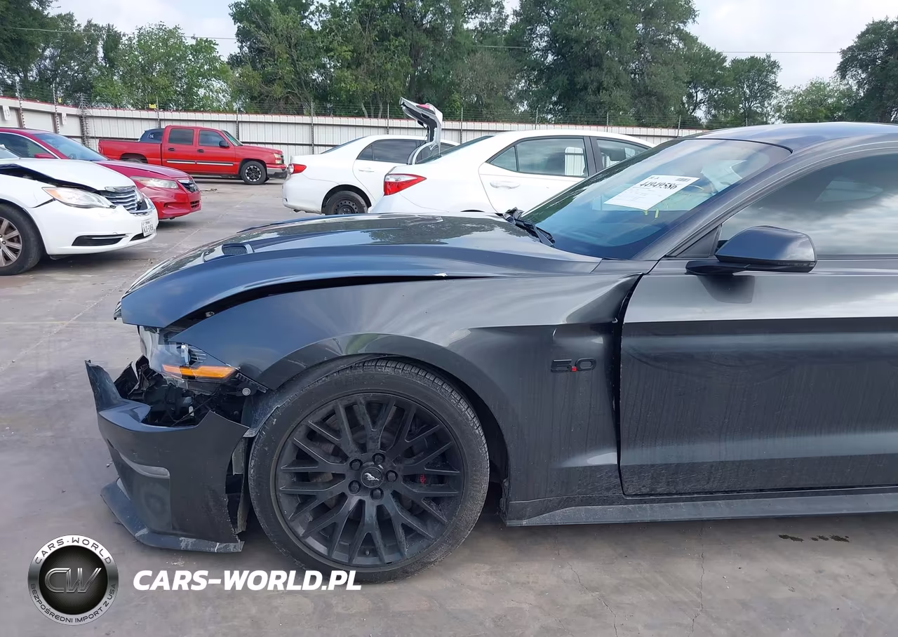 2020 Ford Mustang Gt Premium Fastback VIN:1FA6P8CFXL5117831 - 18