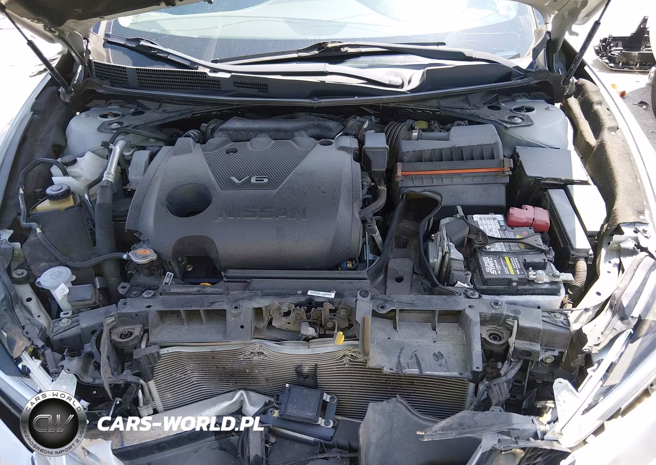 2019 Nissan Maxima 3.5 Sl VIN:1N4AA6AV5KC370107 - 10