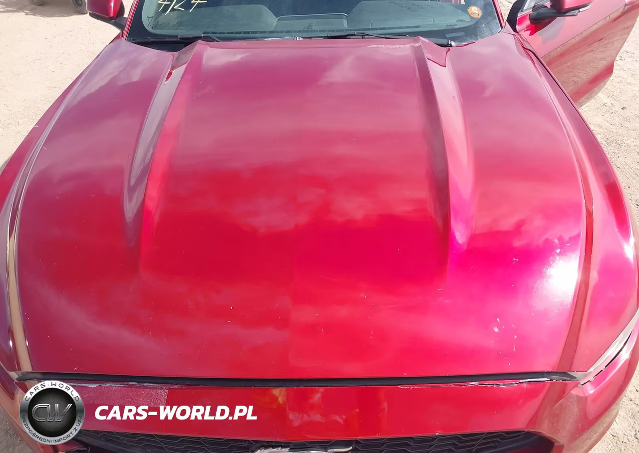 2016 Ford Mustang Ecoboost VIN:1FA6P8TH3G5238093 - 10