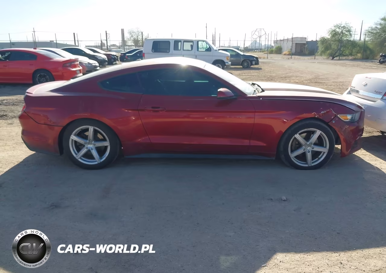 2016 Ford Mustang Ecoboost VIN:1FA6P8TH3G5238093 - 13