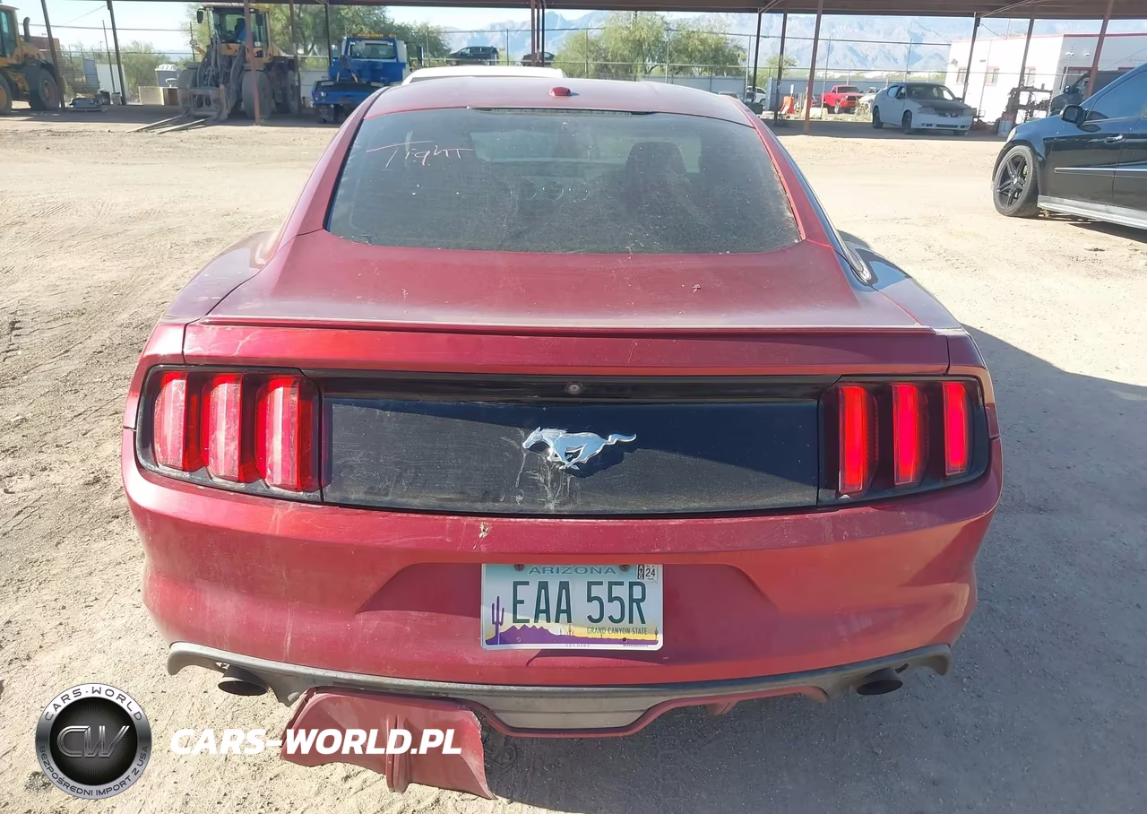 2016 Ford Mustang Ecoboost VIN:1FA6P8TH3G5238093 - 16