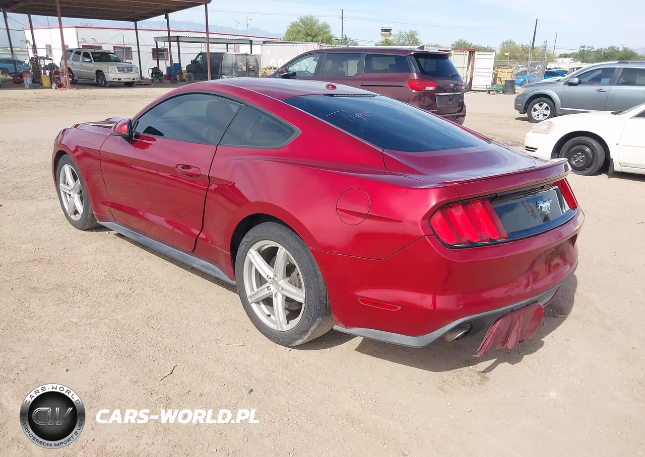 2016 Ford Mustang Ecoboost VIN:1FA6P8TH3G5238093 - 3