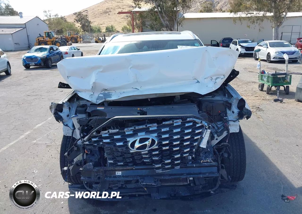 2021 Hyundai Palisade Sel VIN:KM8R4DHE7MU305167 - 12