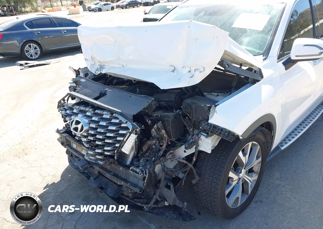 2021 Hyundai Palisade Sel VIN:KM8R4DHE7MU305167 - 6