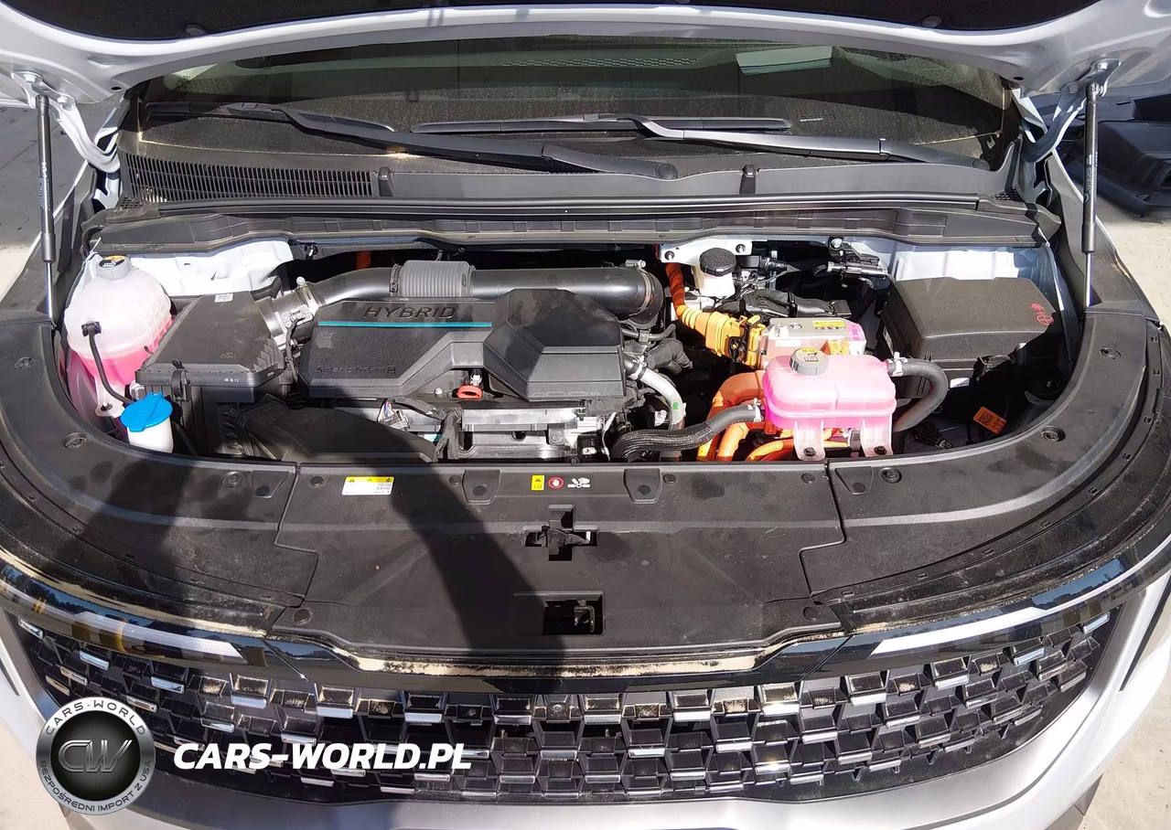 2025 Kia Carnival Mpv Hybrid Sx Prestige VIN:KNDNE5KA5S6039127 - 10