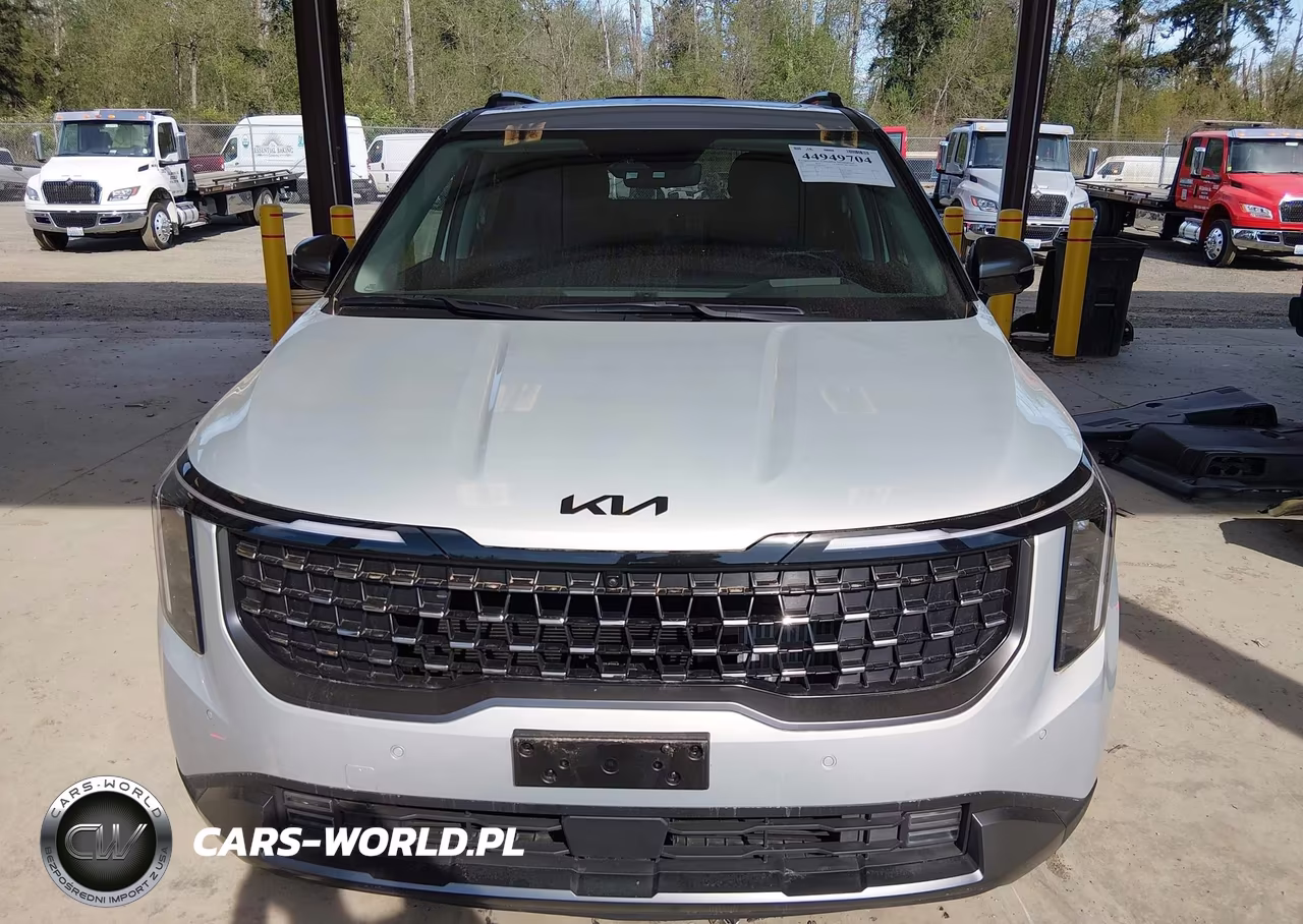 2025 Kia Carnival Mpv Hybrid Sx Prestige VIN:KNDNE5KA5S6039127 - 13