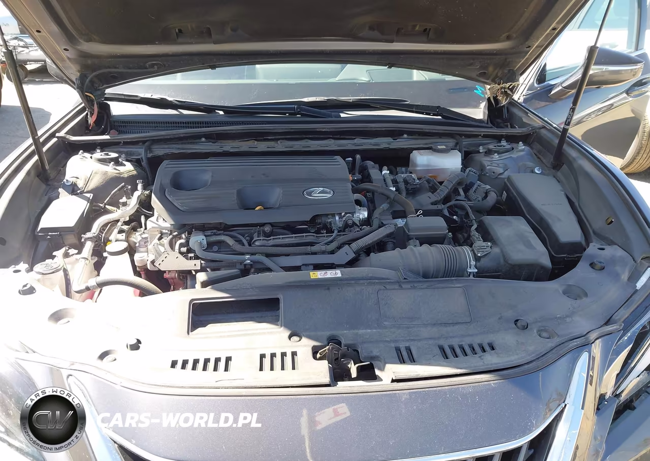2022 Lexus Es 300H Luxury VIN:58AEA1C15NU021346 - 10